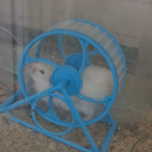 WhatsApp Image 2026-03-03 at 16.46.15