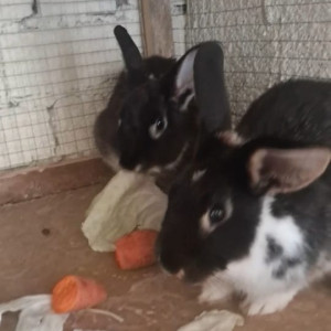 WhatsApp Image 2026-03-03 at 16.44.12